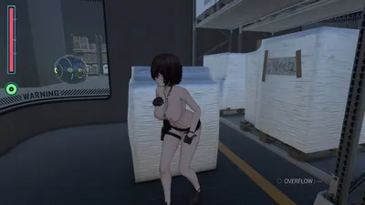 Acme Core Carrier Preview 4