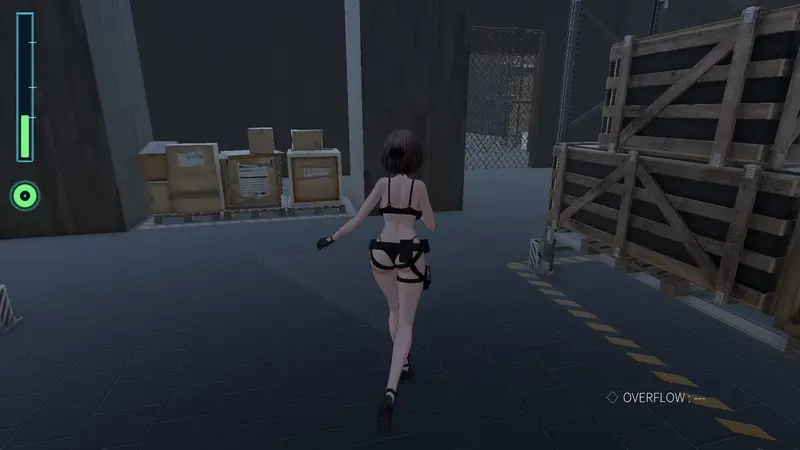 Acme Core Carrier Preview 7